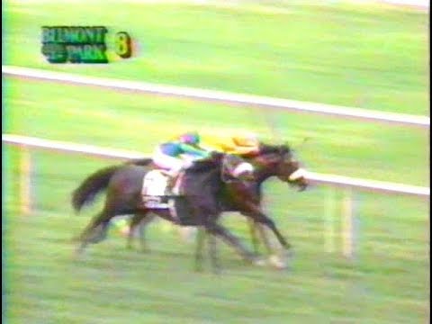 1993 Manhattan Handicap