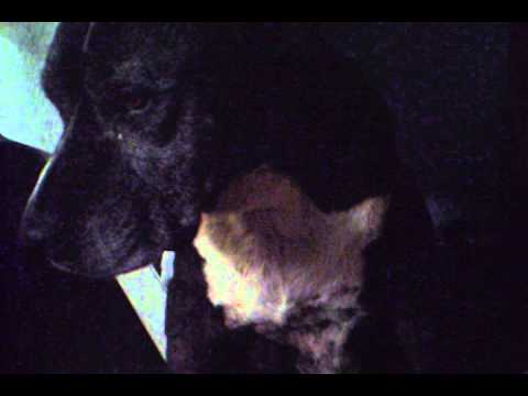 una mirada de tristeza