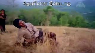 Download lagu Ilayaraja song, man unai ninaikatha naal ellaye. mp3 Download lagu Ilayaraja song, man unai ninaikatha naal ellaye. mp3