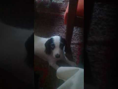 16 de febrero de 2020