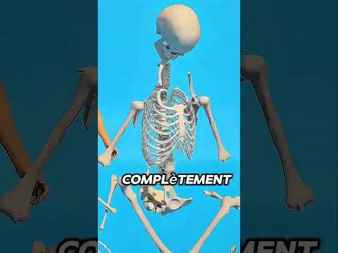 Sans os dans ton corps : ce qui arrive est choquant. 😮