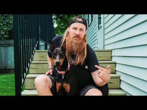 How to Raise a Doberman Puppy