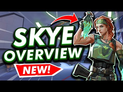 Skye is INSANE! | New Agent Overview | VALORANT Guide