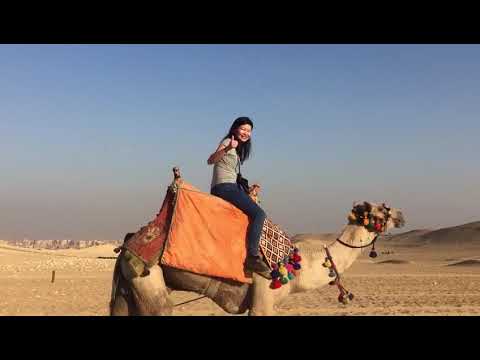 Day Tour To Giza Pyramids with Camel Ride