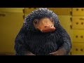 The Niffler Scene - Bank Robbery - Fantastic Beasts and Where to Find Them (2016) Movie Clip HD