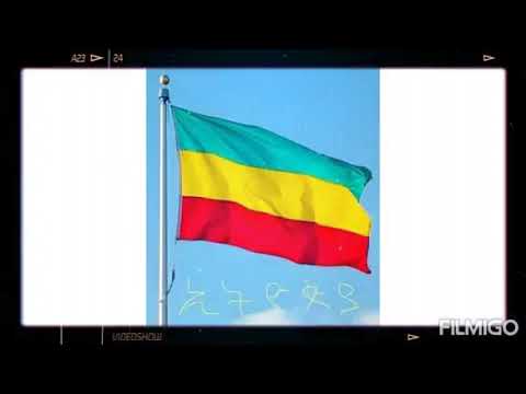 Haile Roots New Song "ሰው አላት"