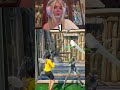 ALL THE SECRET CODES IN 1V1 WITH EVERY GUN