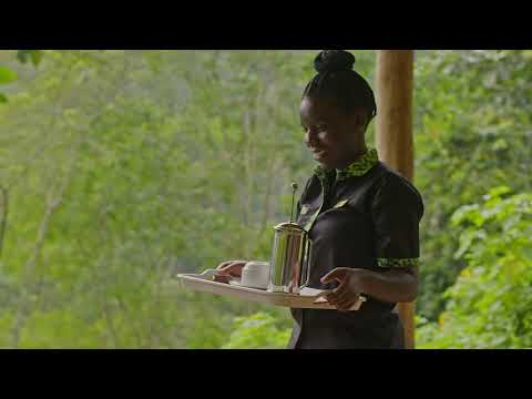 Bwindi Lodge Loop