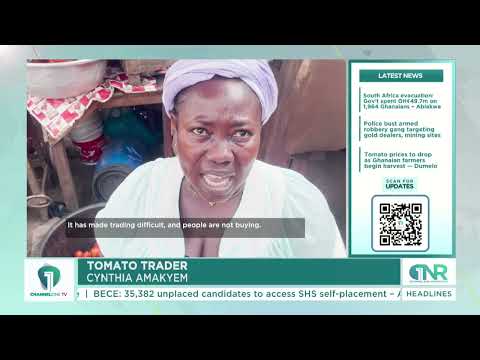 Tomato Prices Set to Drop Sharply as Harvest Supplies Increase
