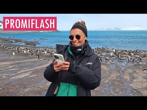 Laura Wontorra erntet harte Kritik für Antarktiskreuzfahrt