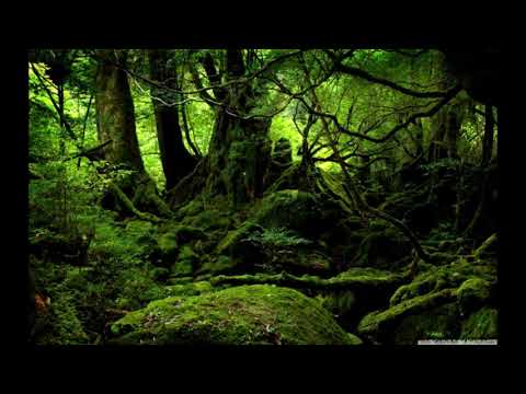 ✨ Transform Your Space: Pranic Energy Land & House Clearing for Ultimate Harmony 🏡🌿