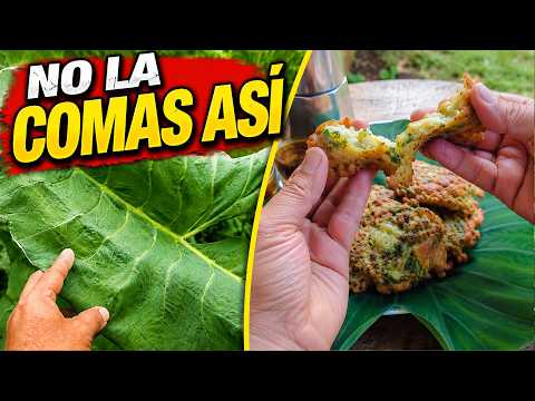 NO COMAS ESTA HOJA sin antes saber ESTO ⚠️ | TORTILLAS DE WALUSA