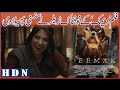 The Scary Trailer Of The Movie Deemak Created A Sensation