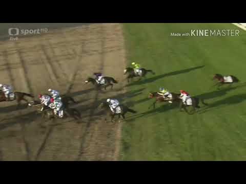 Celá 129. Velká Pardubická-Theophilos a Bartoš