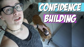 Confidence Building for your Dog FUN AND EASY