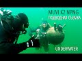 Экшн-камера Muvi K2 NPNG. Подводная съемка. Underwater ...