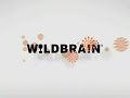 The Magic Store Wildbrain Nickelodeon Productions 2009 Fake