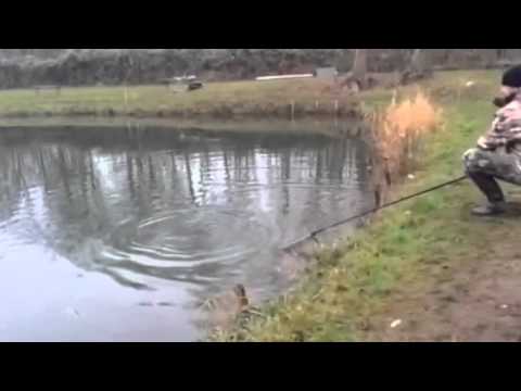 Lachsforrele 3,2 kg auf der Tremarella Rute