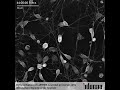 Idorsia Differentiation Of LUHMES Neuronal Precursor Cells Into Mature Dopaminergic Neurons