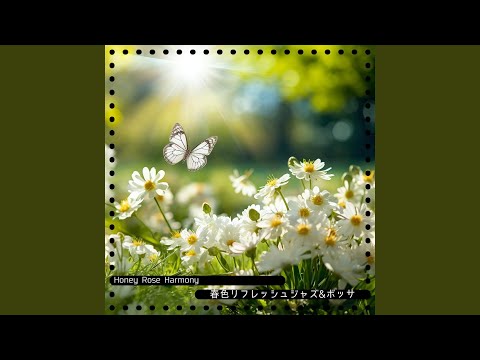 ドワーフローズ 'ハニーミルク' 植物