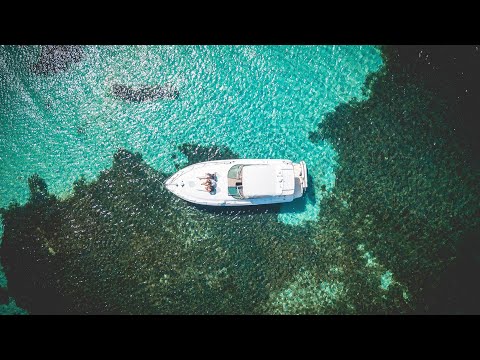 MARTEN HØRGER AND BDX IN AUSTRALIA