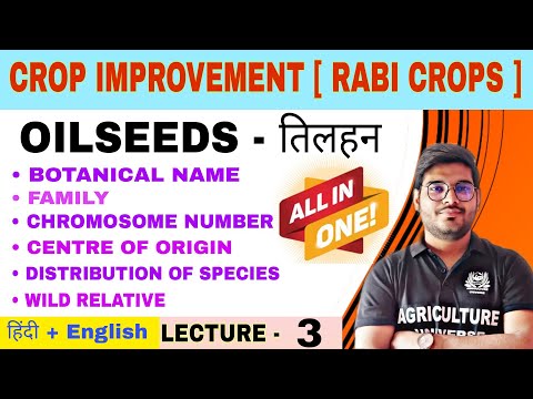 Crop Improvement rabi crops syllabus analysis bsc av 6th semester