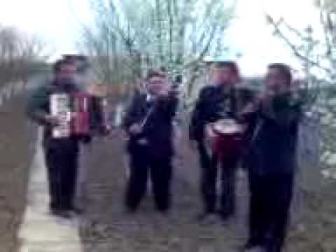 Lautarii din Tamasda de 8 aprilie