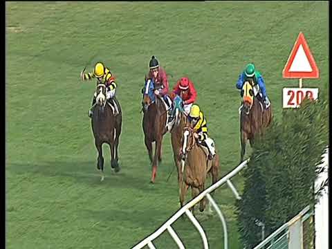 Galoppo 10/02/2018 - 1ª corsa