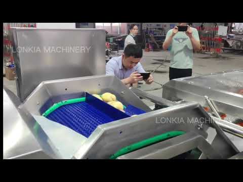 , title : 'LONKIA CE certificated salad vegetable washing cutting processing machinery'