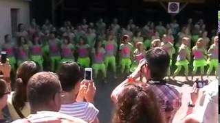 Schwiizergoofe 3 - Singcamp 2014