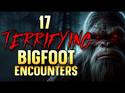 17 TERRIFYING BIGFOOT ENCOUNTERS - BIGFOOT ENCOUNTERS NARRATED