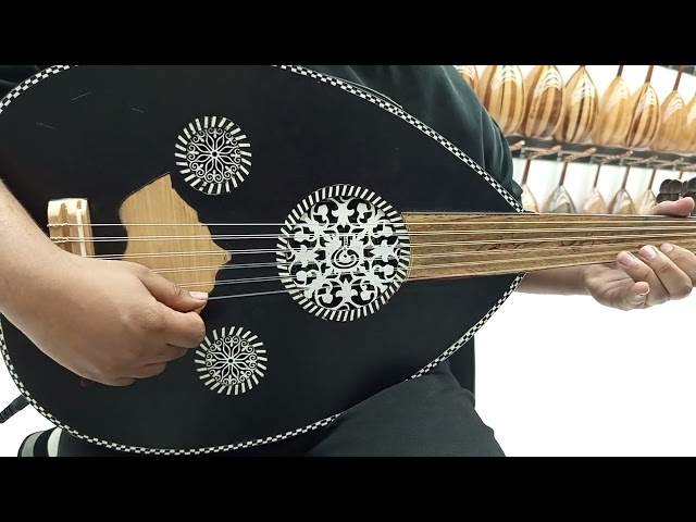 عود موسيقي كهربائي احترافي سوبر لوكس