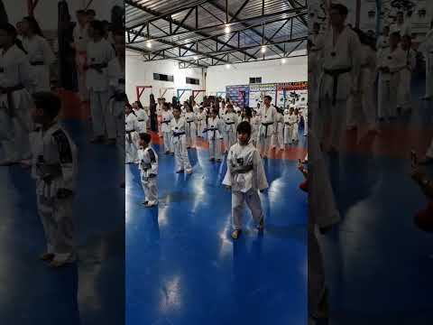 Taekwondo indiara-goias, entrega de Faixas Coloridas primeiro semestre 2026 atleta Valentina Lopes