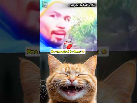 Bro aplogized to Manny 🤣..#cat #funny #memes #mannypacquiao #boxing