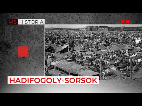 Hadifogolysorsok – M5 História