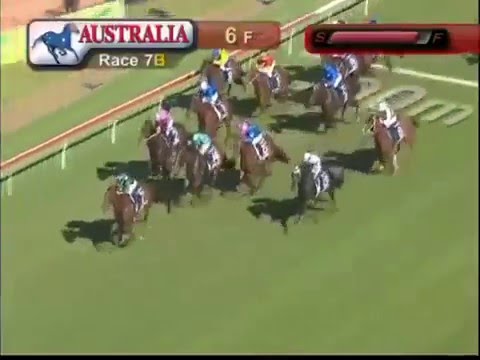 GOLDEN SLIPPER 2016 - Capitalist