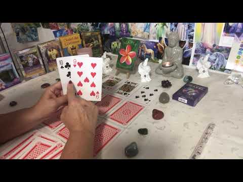 🦋Aloha Weekly Update vom 25.11.-01.12.2019! NEU🌈