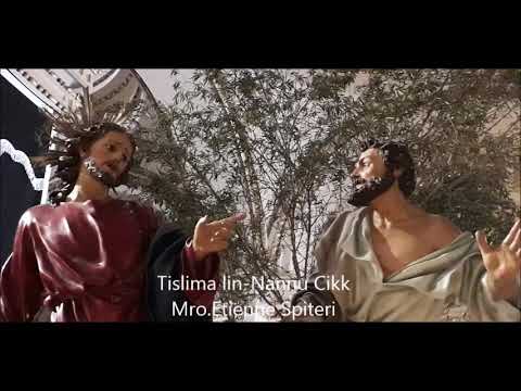 Marc funebru Tislima lin-Nannu Cikk