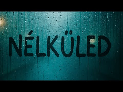 Dzsiiza - Nélküled