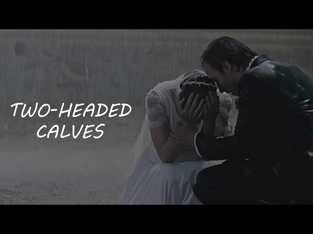 Two-Headed Calves - Official Trailer | Dekkoo.com | Stream great gay movies