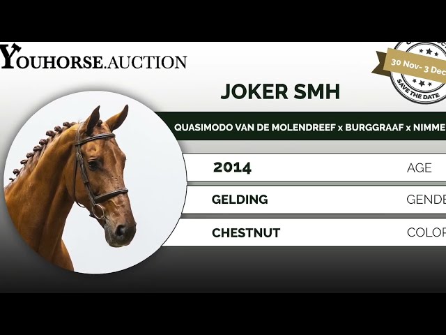 Joker showvideo indoor