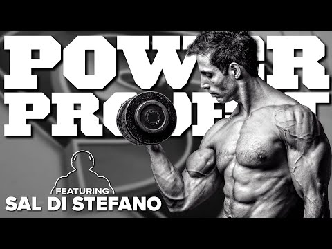 Mark Bell's Power Project EP. 540 - Sal Di Stefano - Resistance Training Does More Than You Think
