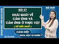 Khoa học tự nhiên 7 Cánh diều Bài 27: Khái quát về cảm ứng và cảm ứng ở thực vật - Trang 129, 132