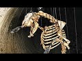 The Nickelodeon Movie That Used Real Bones Lost Media Case Files Vol 2 Blameitonjorge