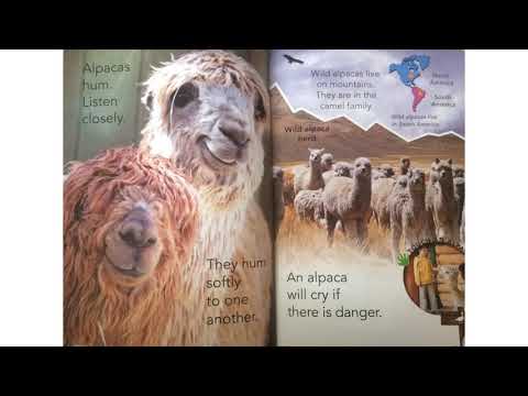 Story time: At the petting zoo