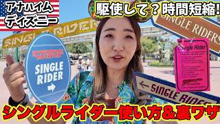 ディズニーランド待ち時間を大幅に短縮!無料で利用できるシングルライダーを全部使ったら何分短縮できる?