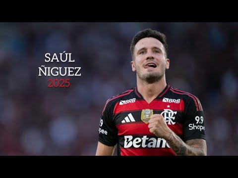 Saúl Ñiguez 2025 ● Flamengo ► Magic Skills, Passes, Tackles, Goals & Assists | HD