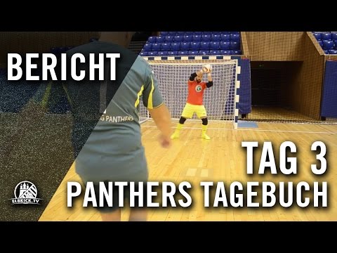 Van Haaren: Ceylani in sicheren Händen - Tag 3 | ELBKICK.TV