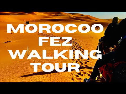 Morocco Day tour 3 |Urdu Vlog Fes old city walking tour Fez| Bab ul joud Fes El Bali 2024