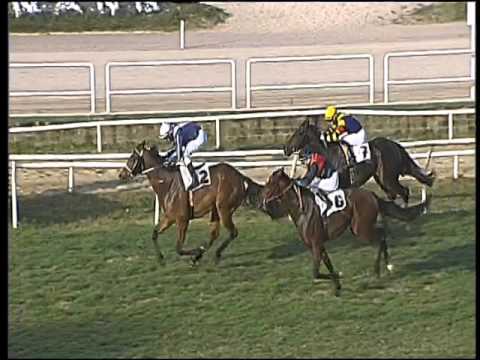 Galoppo 29/01/2016 - 3° corsa